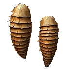 Chitin Plates
