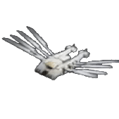 Only Main Part : [Plastanium] Carrier Ornithopter Mk6