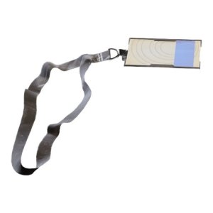 Blue Gate Cellar Key