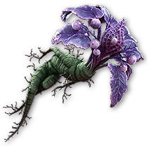 Amor Mandragora Changeling Talisman