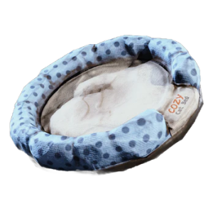 Cat Bed