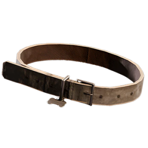 Dog Collar