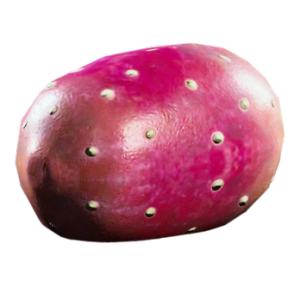 Prickly Pear