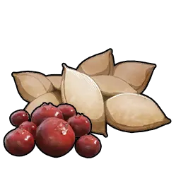 Berry Seeds 10