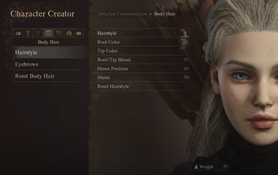 Hairstyle Customization