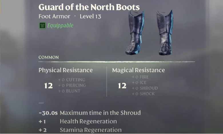 Guard of the North Boots Enshrouded