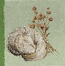 (Raw Fiber)-Linen 10