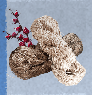 (Raw Fiber)-Roselle 10