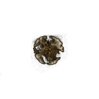 Elden Ring Runes