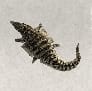 (Raw Hide)-Crocodile Hide 10