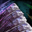 Amalgamated Gemstone * 100