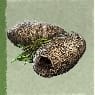 (Raw Fiber)-Hemp 10