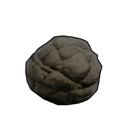 Dung