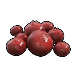 Red Berries * 999